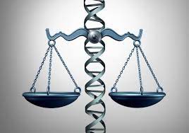 Les implications éthiques et réglementaires de la thérapie&nbsp;cellulaire.